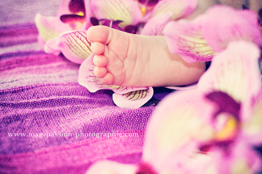 IMG_8713-as-Smart-Object-1